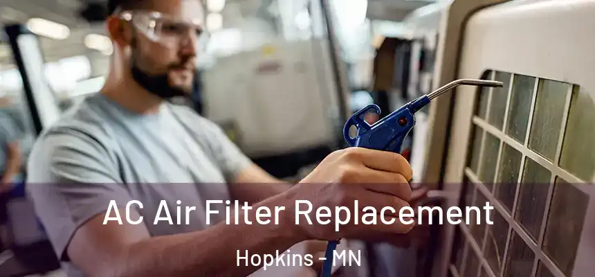 AC Air Filter Replacement Hopkins - MN