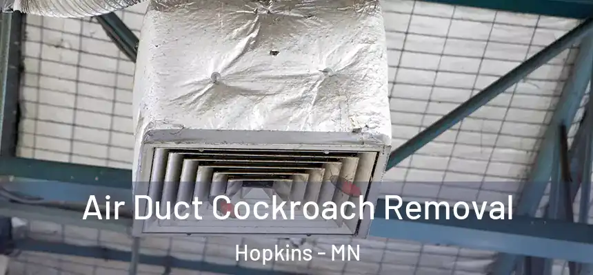  Air Duct Cockroach Removal Hopkins - MN