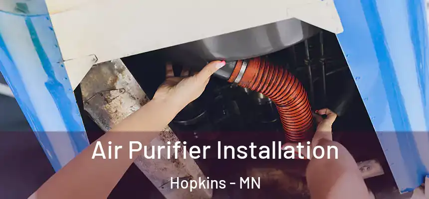  Air Purifier Installation Hopkins - MN