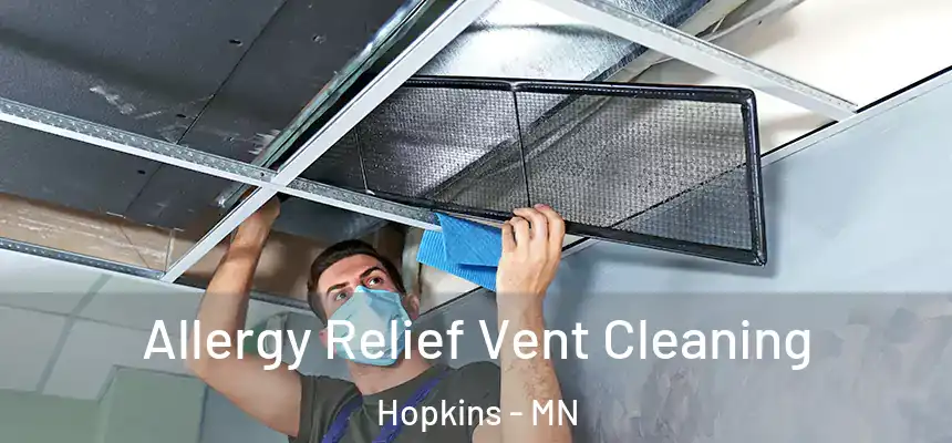 Allergy Relief Vent Cleaning Hopkins - MN
