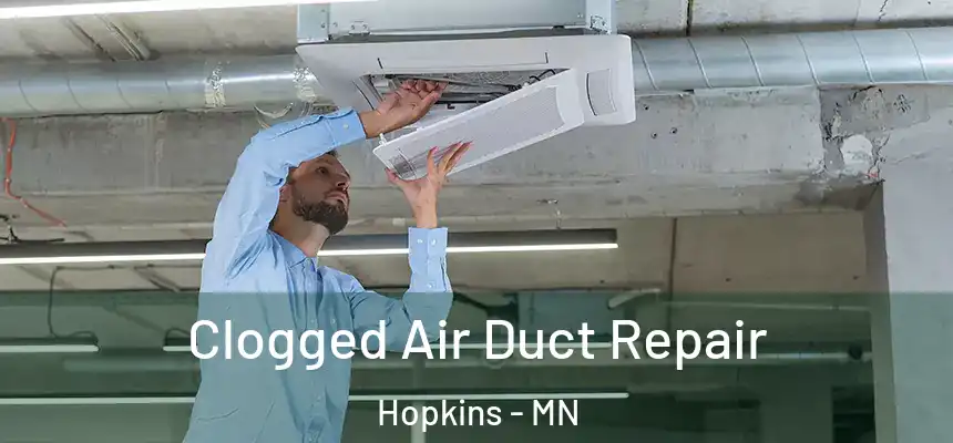  Clogged Air Duct Repair Hopkins - MN