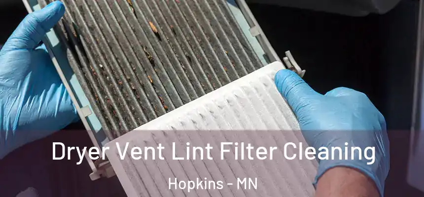  Dryer Vent Lint Filter Cleaning Hopkins - MN