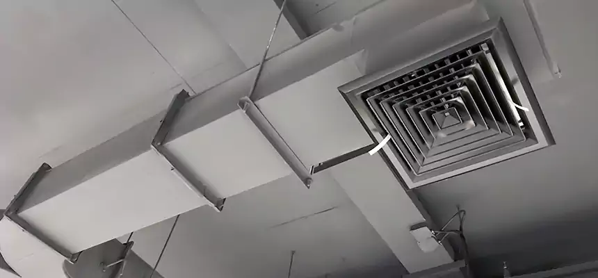 Restorative Allergy Relief Vent Cleaning – Coil, Blower & Housing Detail in Hopkins