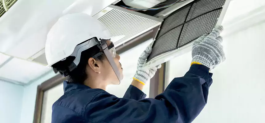 Our Mold & Mildew Removal from Air Ducts Services in Hopkins, MN