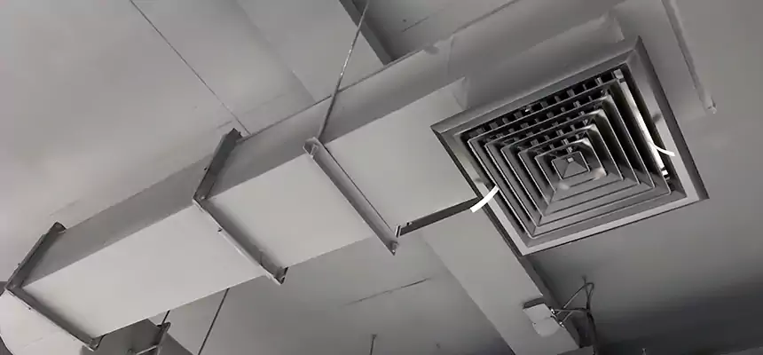 Our Pest Removal From Ducts Services in Hopkins, MN