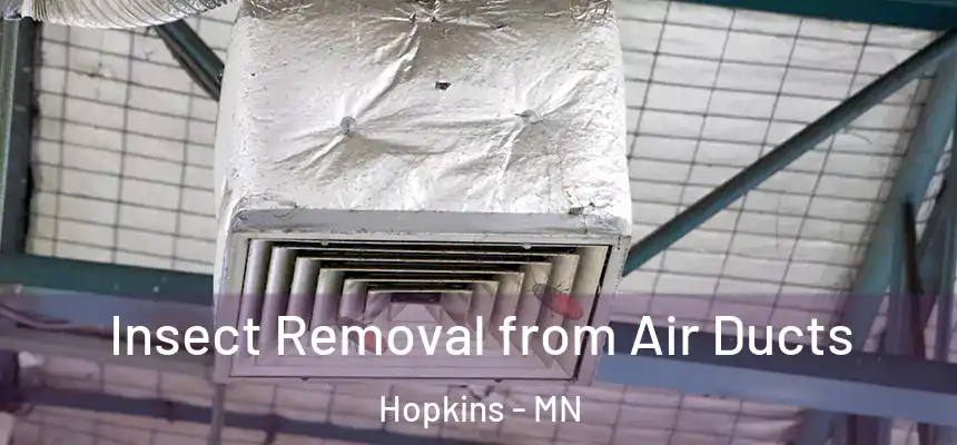  Insect Removal from Air Ducts Hopkins - MN