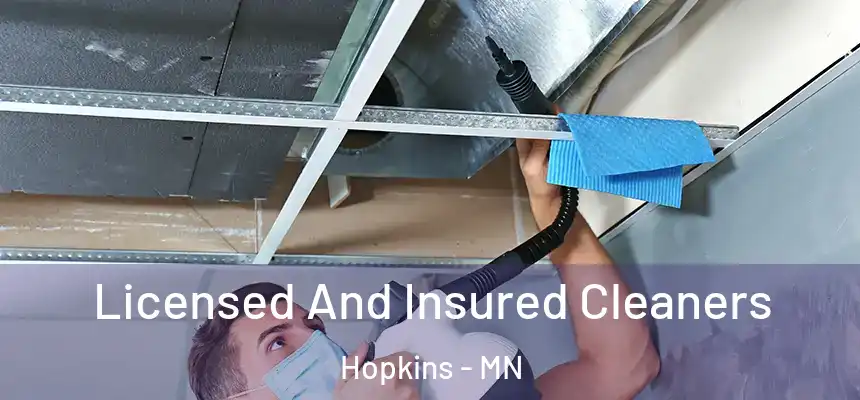  Licensed And Insured Cleaners Hopkins - MN