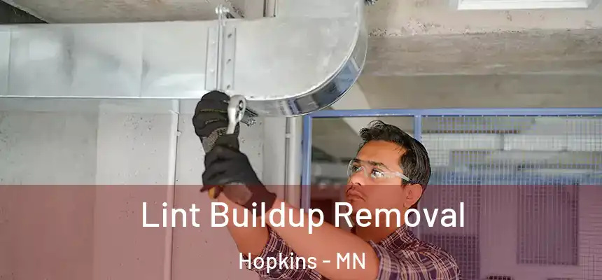  Lint Buildup Removal Hopkins - MN