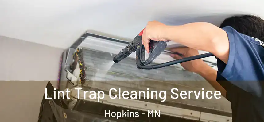  Lint Trap Cleaning Service Hopkins - MN