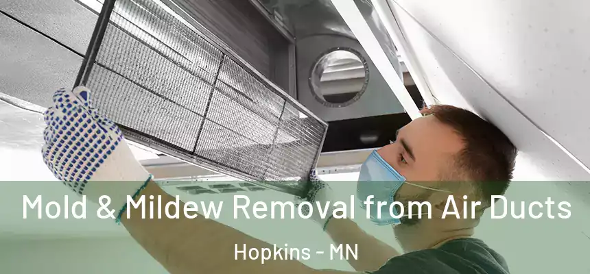  Mold & Mildew Removal from Air Ducts Hopkins - MN