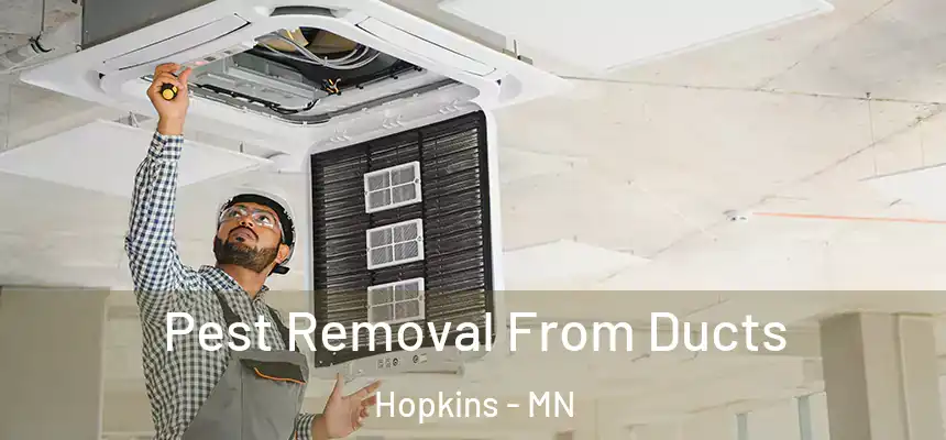  Pest Removal From Ducts Hopkins - MN