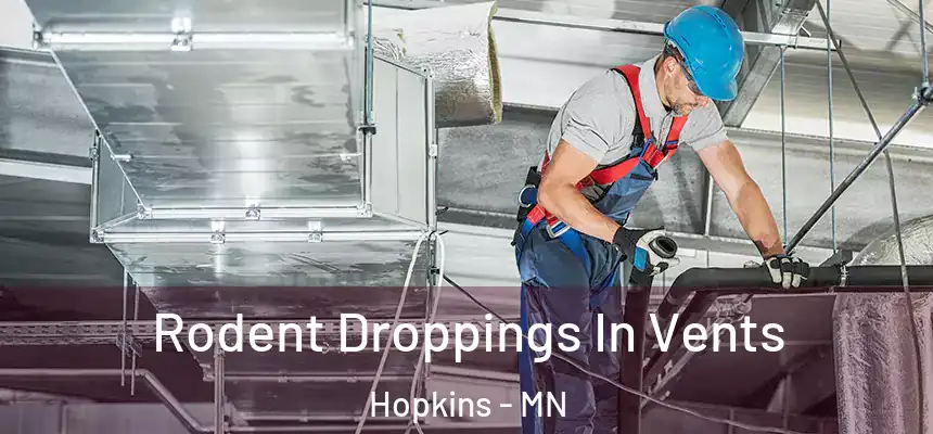  Rodent Droppings In Vents Hopkins - MN