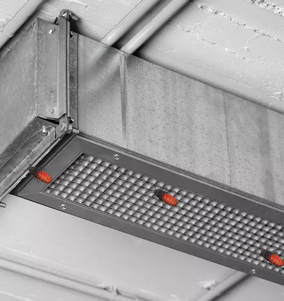 Affordable Insect Removal from Air Ducts in Hopkins, MN